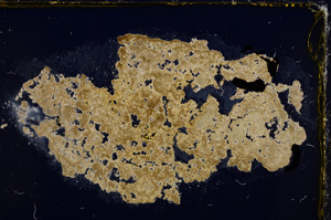 Cross Polarized, E21468