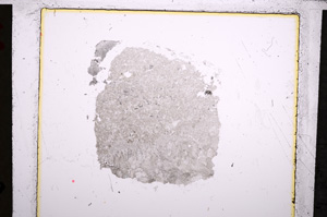 Plane Polarized, E21473