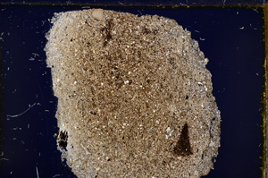 Cross Polarized, E21477/A