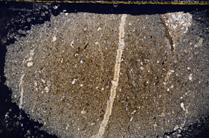 Cross Polarized, E21477/B