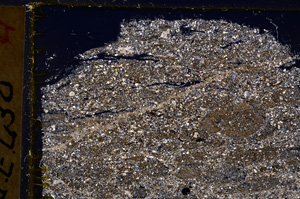 Cross Polarized, E21478