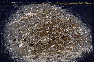 Cross Polarized, E21478/A