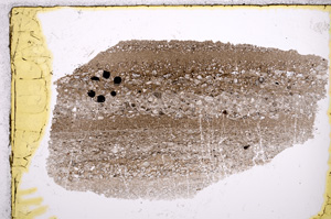 Plane Polarized, E21479