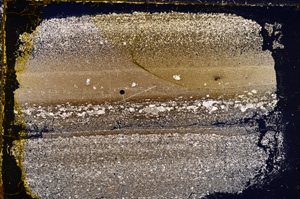 Cross Polarized, E21480