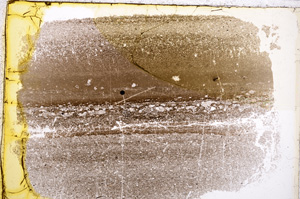 Plane Polarized, E21480