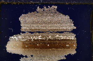 Cross Polarized, E21480/A
