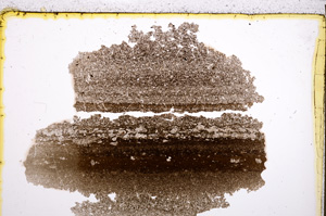 Plane Polarized, E21480/A