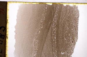 Plane Polarized, E21481