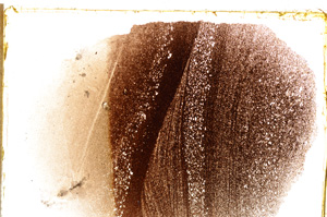 Plane Polarized, E21481/A