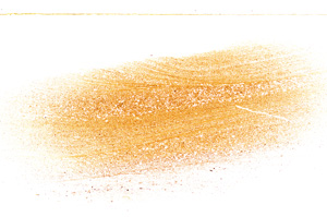 Plane Polarized, E21481/B