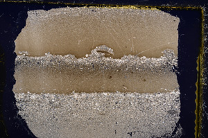 Cross Polarized, E21482