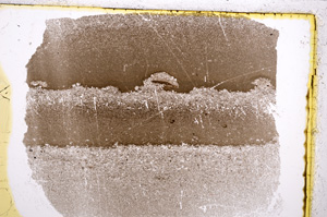 Plane Polarized, E21482
