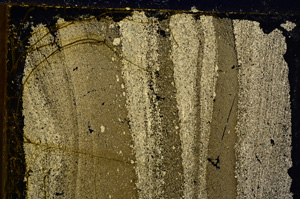 Cross Polarized, E21485