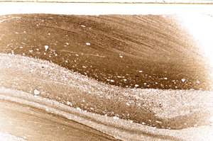 Plane Polarized, E21485/A