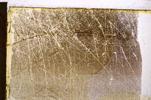 Plane Polarized, E21486