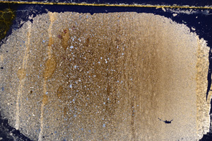 Cross Polarized, E21486/B