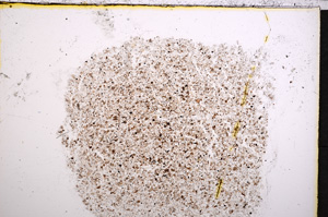 Plane Polarized, E21489
