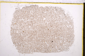 Plane Polarized, E21490
