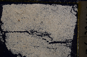 Cross Polarized, E21497