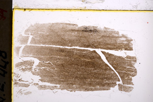Plane Polarized, E21498