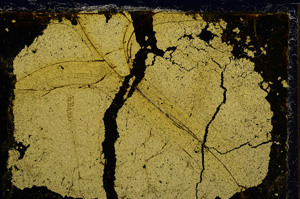 Cross Polarized, E21499