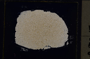 Cross Polarized, E21509