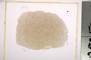 Plane Polarized, E21509