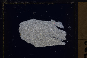 Cross Polarized, E21517