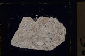 Cross Polarized, E21520