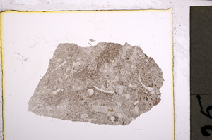 Plane Polarized, E21520