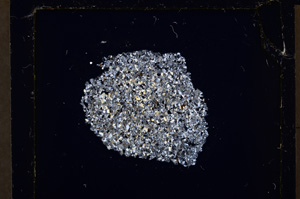 Cross Polarized, E21523