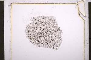 Plane Polarized, E21523