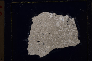 Cross Polarized, E21524