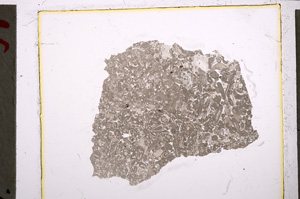 Plane Polarized, E21524