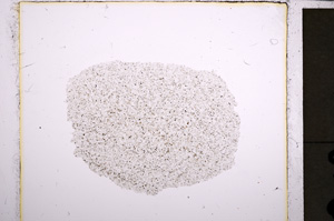 Plane Polarized, E21541