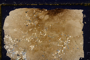 Cross Polarized, E21565