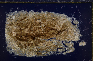 Cross Polarized, E21566