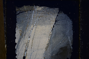 Cross Polarized, E21570