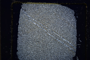 Cross Polarized, E21573