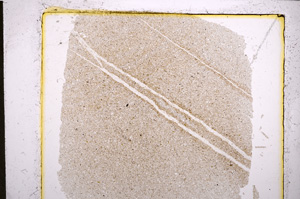 Plane Polarized, E21573