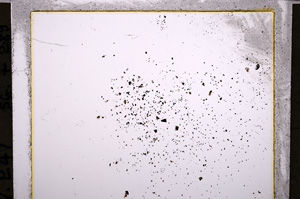 Plane Polarized, E21575