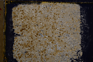 Cross Polarized, E21661