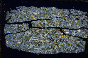 Cross Polarized, E21669