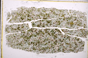 Plane Polarized, E21669