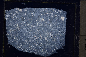 Cross Polarized, E21679