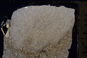 Cross Polarized, E21688