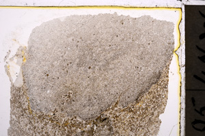 Plane Polarized, E21688