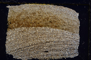 Cross Polarized, E21689