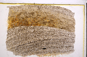 Plane Polarized, E21689