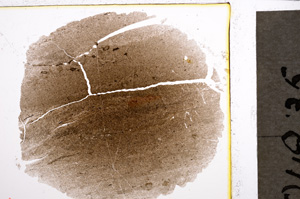 Plane Polarized, E21694